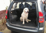 Prepravné autodeky určené pre prepravu psa v aute