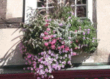 kvetináče - dvojplášťové truhlíky na zábradlie, fasády, mosty