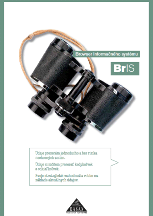 BrIS (Browser Informačného systému)